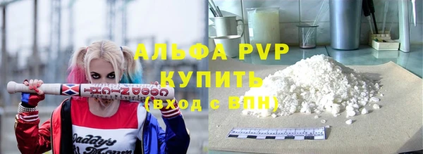 индика Белоозёрский