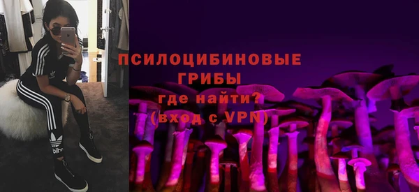 твердый Сясьстрой