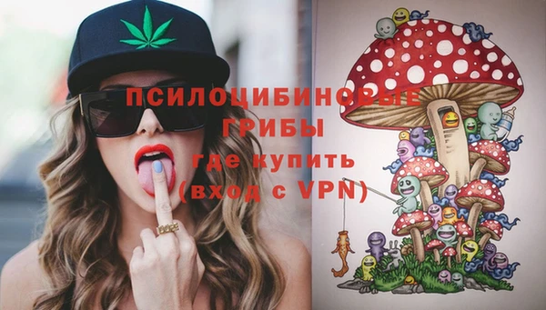 индика Белоозёрский