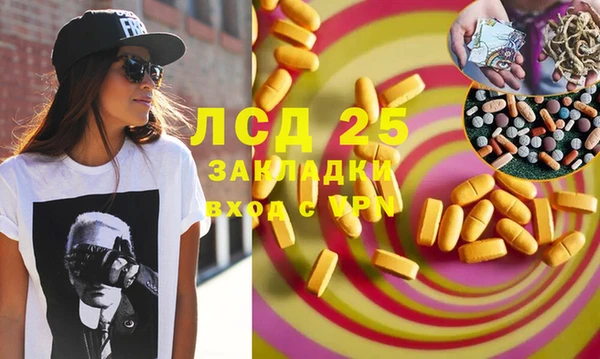 индика Белоозёрский
