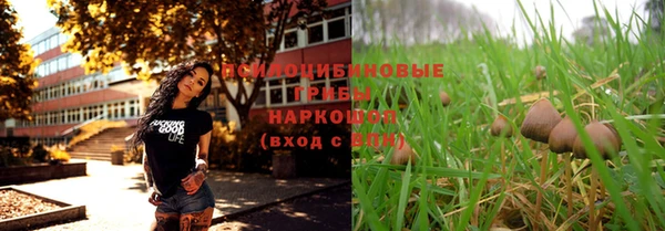 индика Белоозёрский