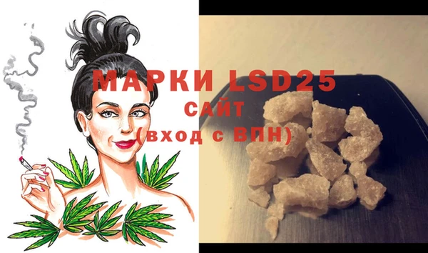 индика Белоозёрский