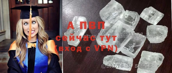 гашик Беломорск