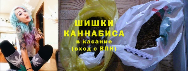 индика Белоозёрский