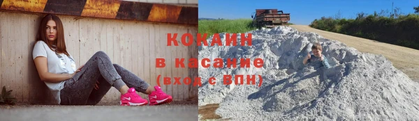 индика Белоозёрский