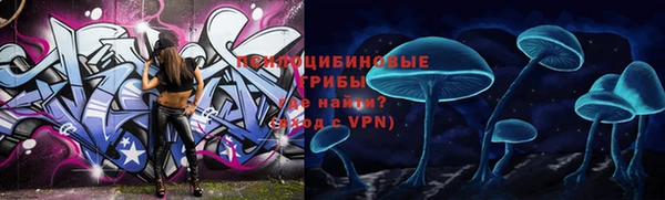 индика Белоозёрский